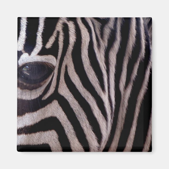 Zebra Stripes Magnet (Front)