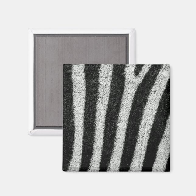 Zebra Stripes Magnet (Front/Back)