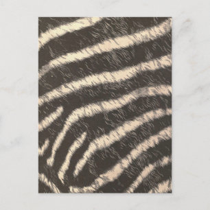Zebra Stripes Postcard