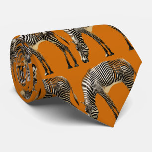 Zebra Stripes - Tie