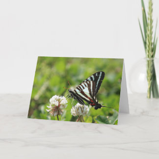 Zebra Swallowtail Butterfly Card