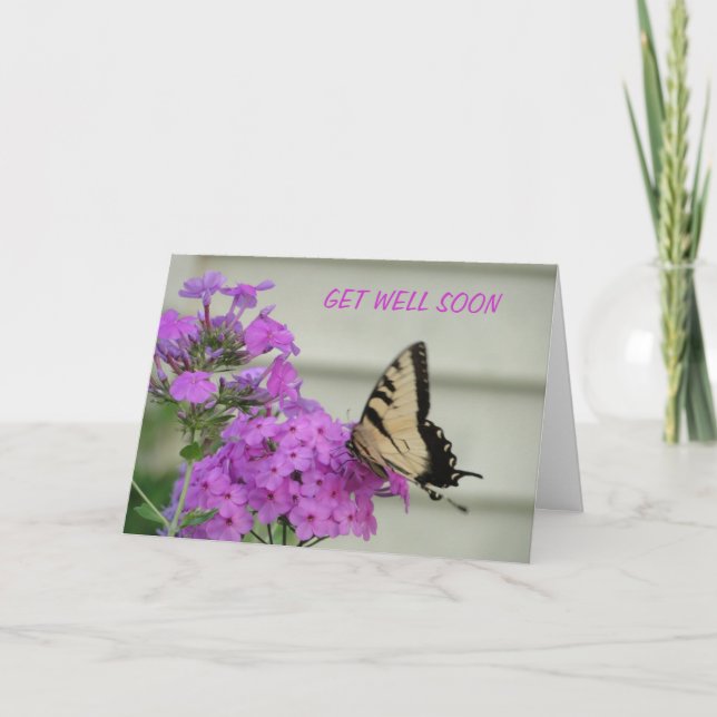 Zebra Swallowtail, Get Well Card (Front)