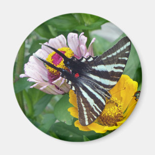 Zebra Swallowtail+Japanese Beetle Magnet
