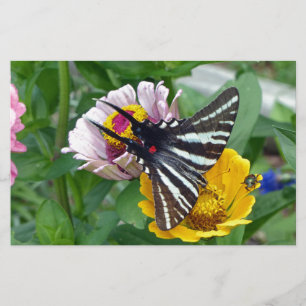 Zebra Swallowtail+Japanese Beetle Stationery