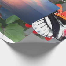 Zebra tail butterfly