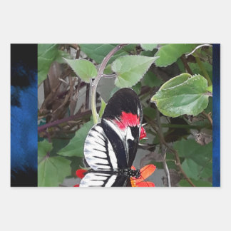 Zebra tail butterfly wrapping paper sheet