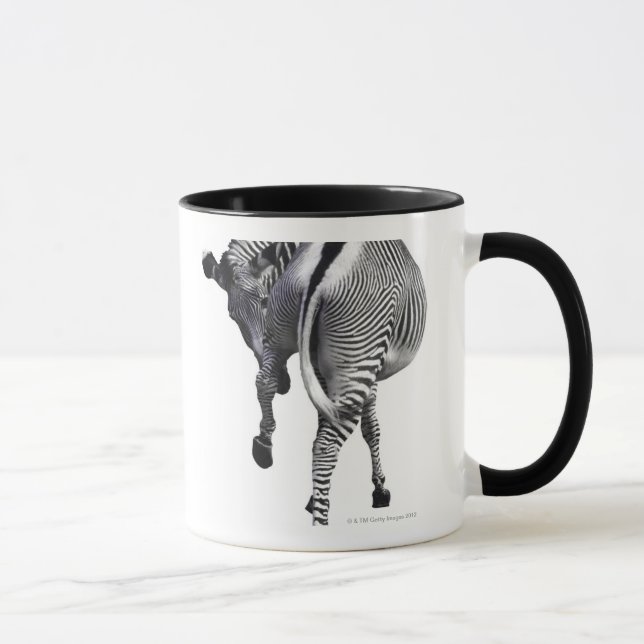 Zebra turning around mug (Right)