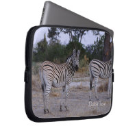 Zebra Twins Double Take Photo