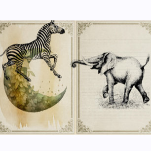 Zebra Vintage Safari Animal Rubber Stamp