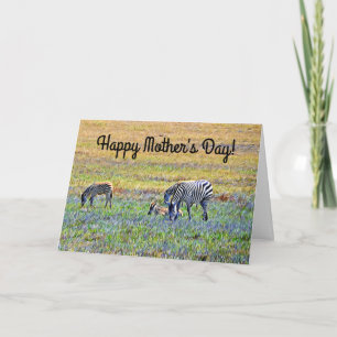 Zebra with Babies Mother's Day Card