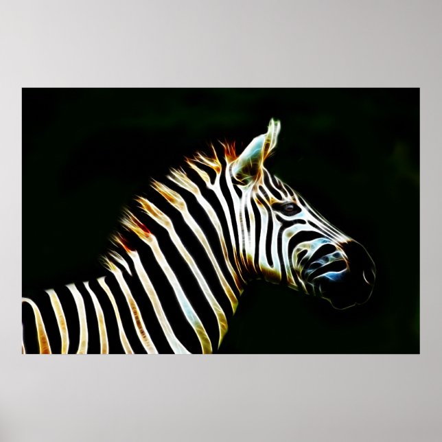 Zebra with black and white stripes in Africa Poster (Front)