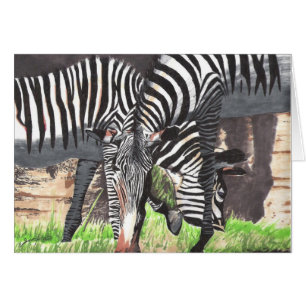 Zebras