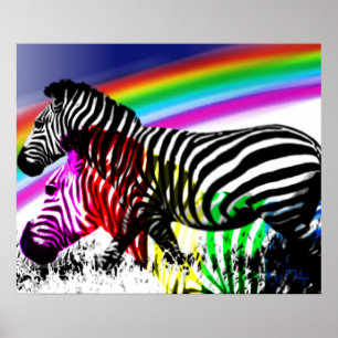 Zebras ' dream comes true poster