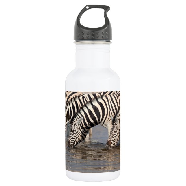 Zebras drinking 532 ml water bottle (Front)