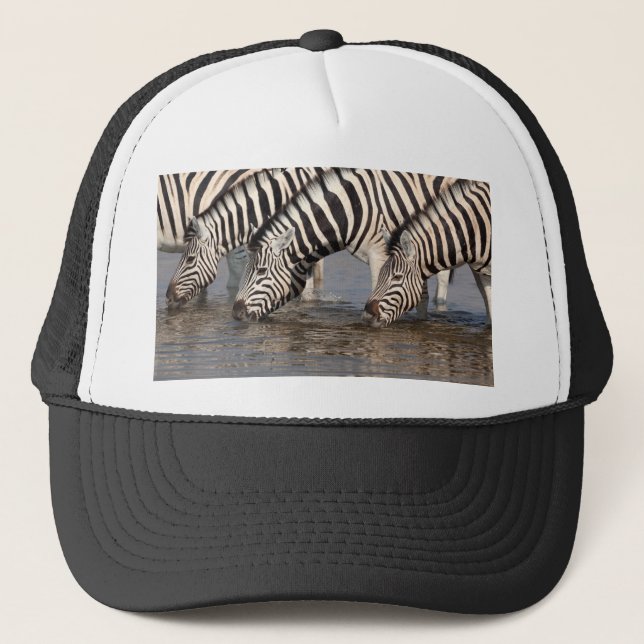 Zebras drinking trucker hat (Front)