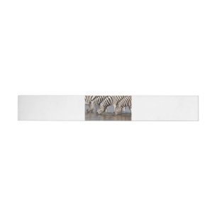 Zebras drinking wrap around label