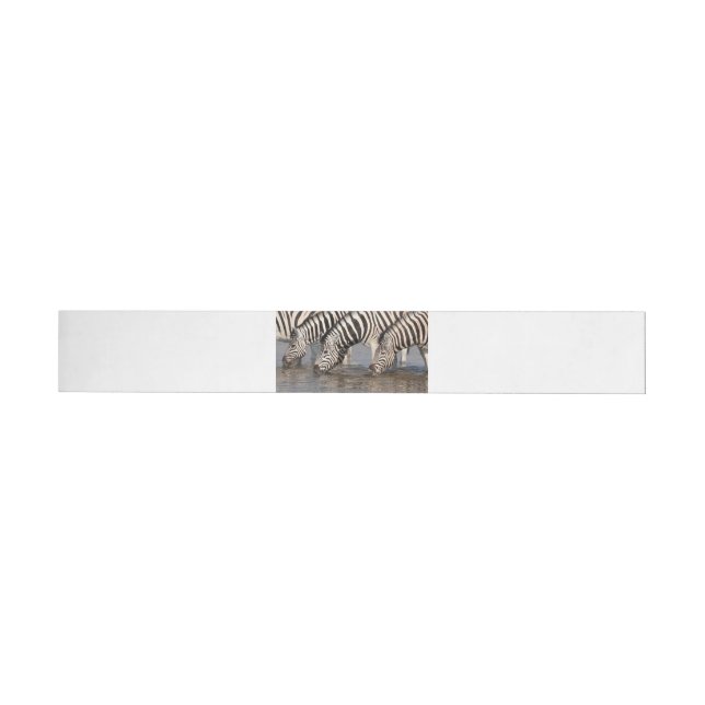 Zebras drinking wrap around label (Individual)