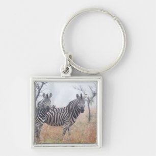 Zebras in early morning dust, Kruger National Key Ring
