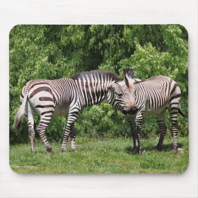 Zebras in Love Mousemat (Front)