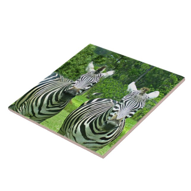 Zebras in Meadow Harmony Ceramic Tile (Side)