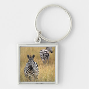 Zebras in tall grass key ring