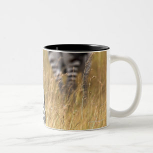 Zebras in tall grass Two-Tone coffee mug