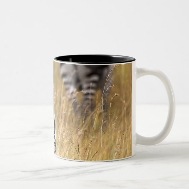 Zebras in tall grass Two-Tone coffee mug (Right)