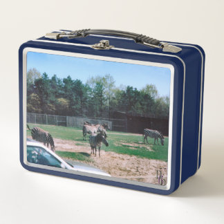 Zebras in the Sun Metal Lunch Box