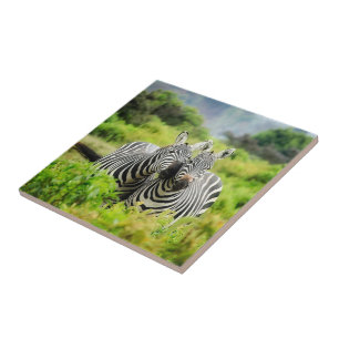 Zebras in the wild ceramic tile