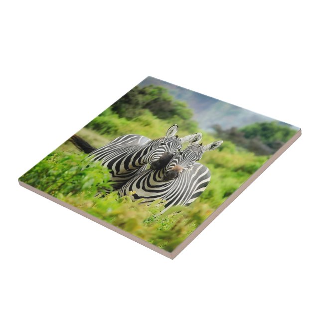 Zebras in the wild ceramic tile (Side)