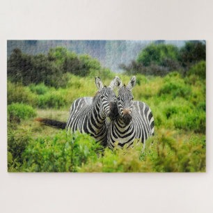 Zebras in the wild jigsaw puzzle