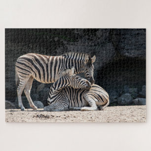 Zebras Jigsaw Puzzle