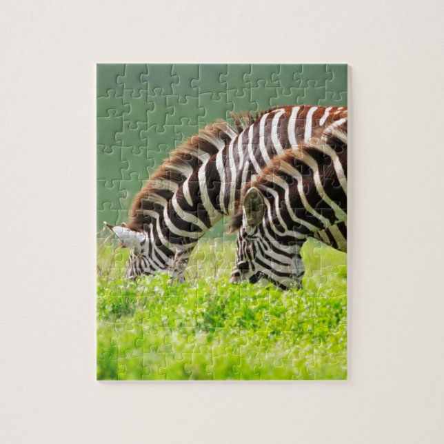 Zebras Jigsaw Puzzle (Vertical)
