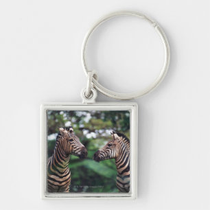 zebras key ring