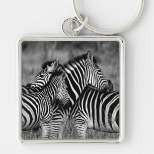 Zebras Key Ring