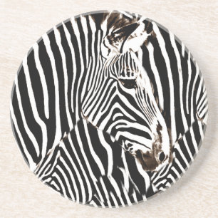 Zebras love_ coaster