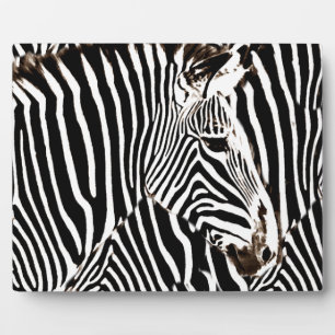 Zebras love_ plaque