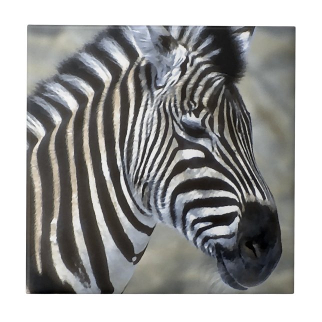 Zebras Lovers Art Ceramic Tile (Front)