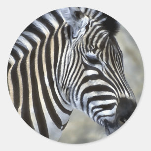 Zebras Lovers Art Classic Round Sticker