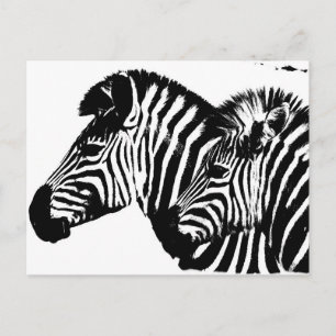 Zebras Modern Black And White Pop Art Template. Postcard