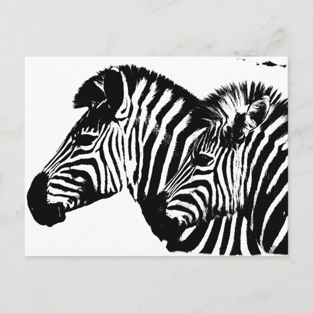 Zebras Modern Black And White Pop Art Template. Postcard (Front)