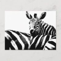 Zebras Modern Black&White Pop Art Picture Template