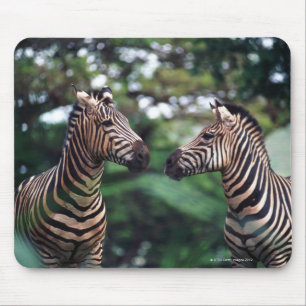 zebras mouse pad