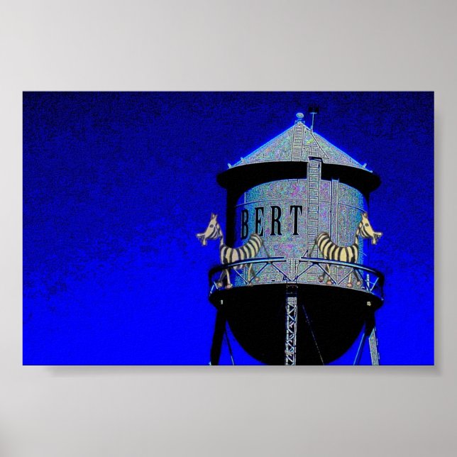 Zebra's on sponl poster (Front)