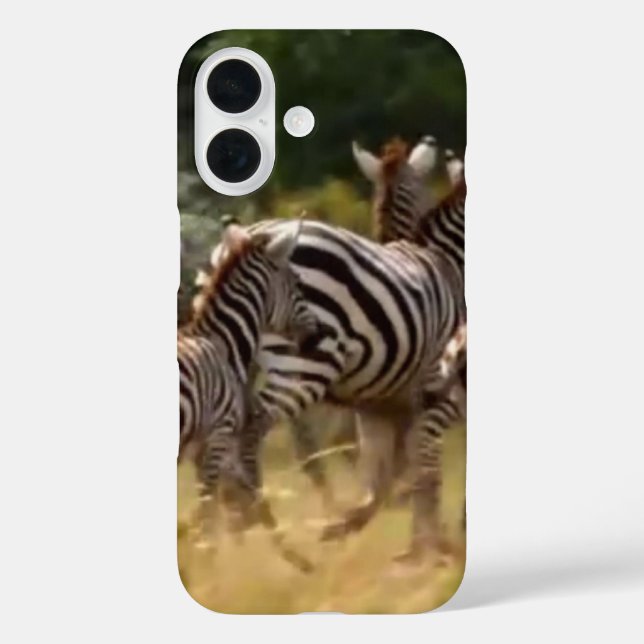 Zebras on the Move: A Journey of a Thousand Miles  Case-Mate iPhone Case (Back)