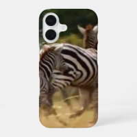 Zebras on the Move: A Journey of a Thousand Miles