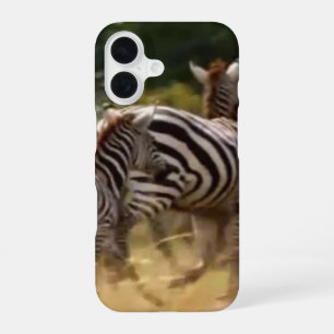 Zebras on the Move: A Journey of a Thousand Miles iPhone 16 Case