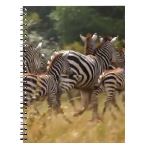 Zebras on the Move: A Journey of a Thousand Miles Notebook