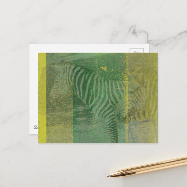 Zebras Postcard (Front/Back In Situ)