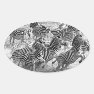 Zebras running oval sticker